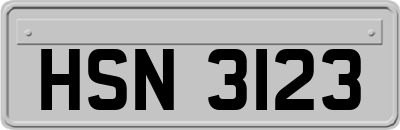 HSN3123