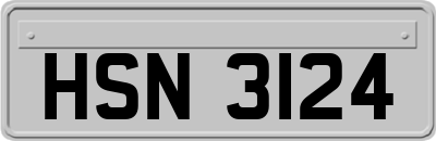 HSN3124