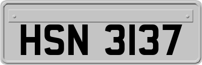 HSN3137