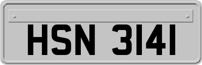 HSN3141