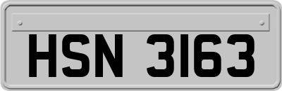 HSN3163