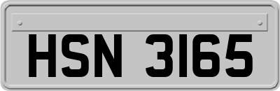 HSN3165