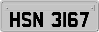 HSN3167