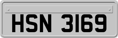 HSN3169