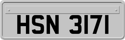 HSN3171