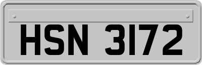 HSN3172