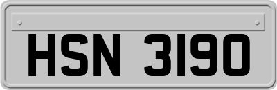 HSN3190