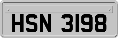HSN3198