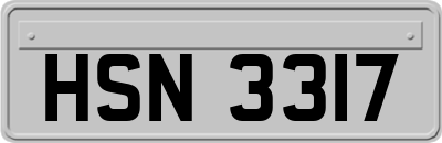 HSN3317