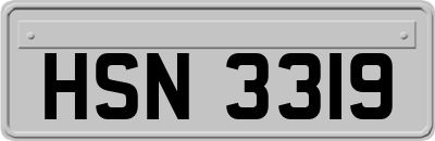 HSN3319