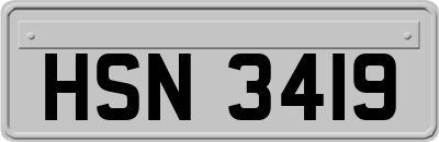 HSN3419