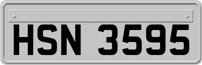 HSN3595