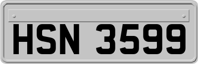 HSN3599