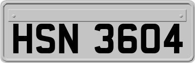HSN3604