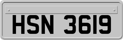 HSN3619