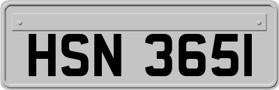 HSN3651