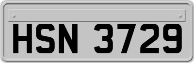 HSN3729