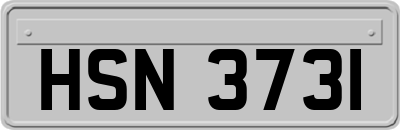 HSN3731