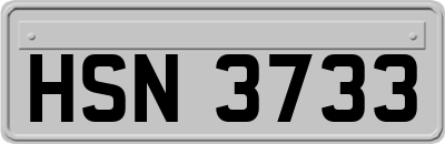HSN3733