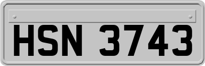 HSN3743