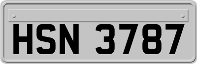 HSN3787