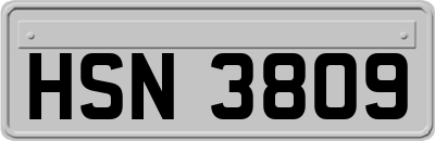 HSN3809