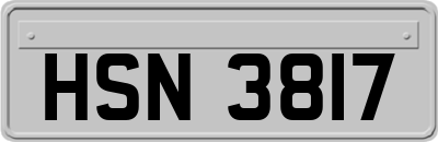 HSN3817