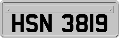 HSN3819