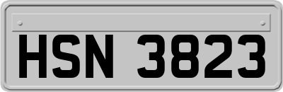 HSN3823