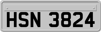 HSN3824