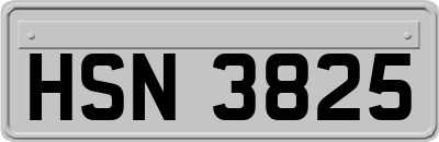 HSN3825