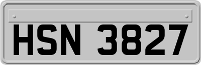 HSN3827