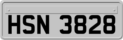 HSN3828