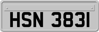 HSN3831