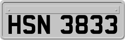HSN3833