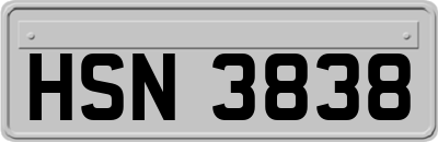 HSN3838