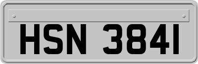 HSN3841