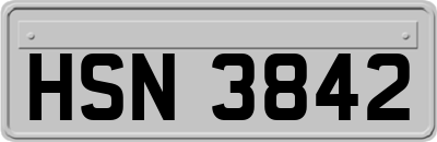 HSN3842