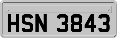 HSN3843