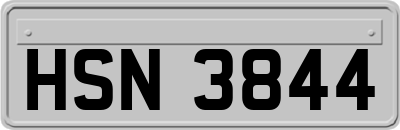 HSN3844