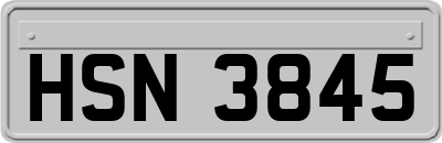HSN3845