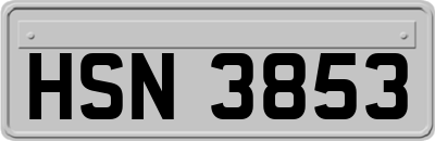 HSN3853
