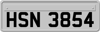HSN3854