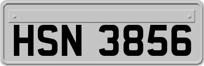 HSN3856