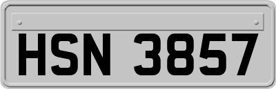 HSN3857