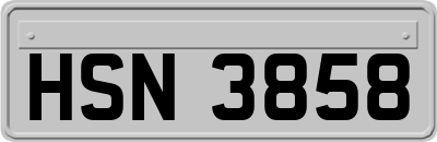 HSN3858