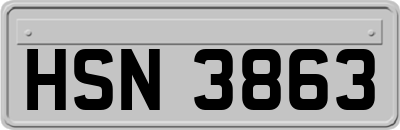 HSN3863