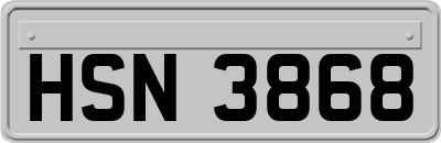 HSN3868