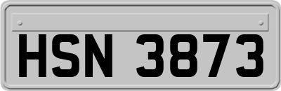 HSN3873