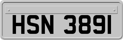HSN3891